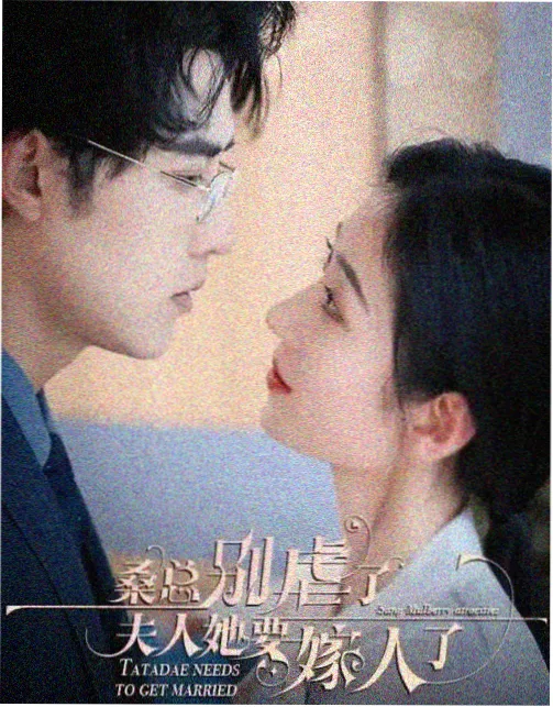 青石巷口 都市情感剧全集在线观看