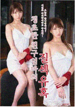 雾港 悬疑电视剧免费在线观看